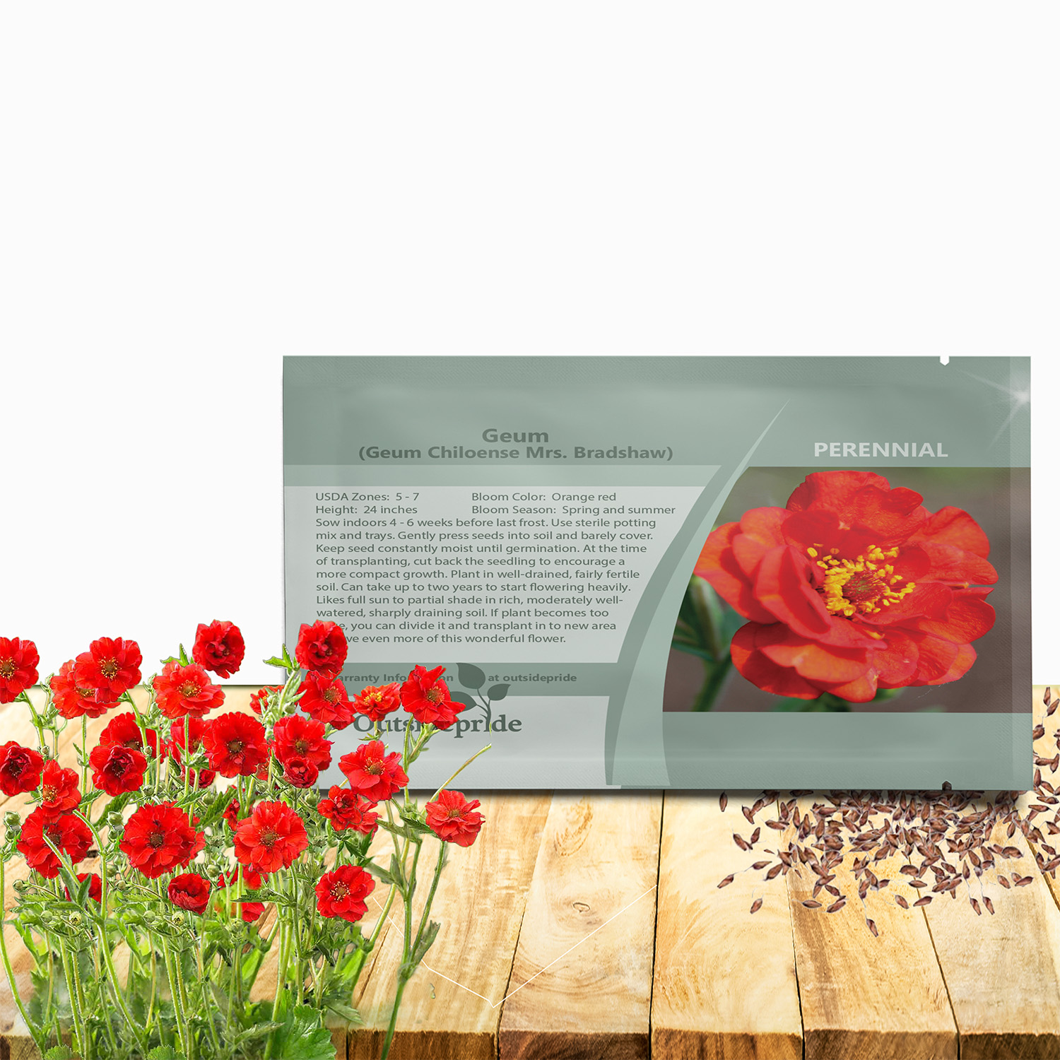 Geum Mrs. Bradshaw Flower Seed Packet For Planting