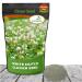 White Dutch Clover Seed Bag