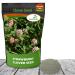 Strawberry Clover Seed Bag