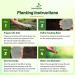 Strawberry Clover Planting Instructions