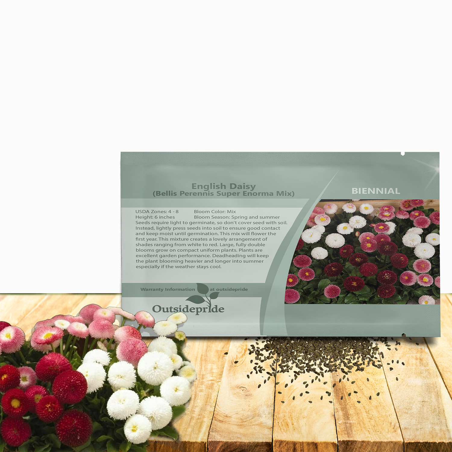 Bellis Flower Seed Packet Mix