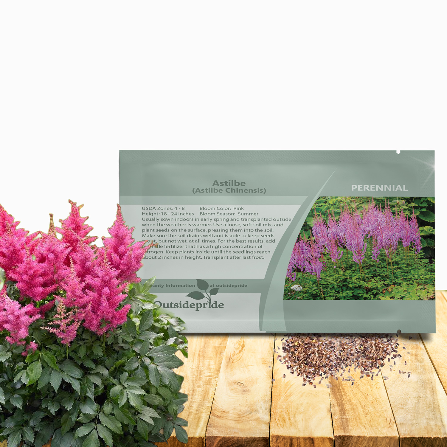 Astilbe Chinensis Flower Seed Packet For Planting