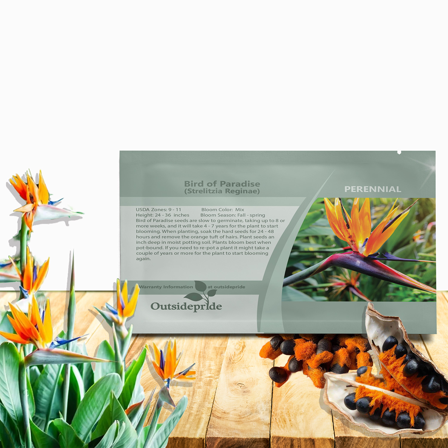 Bird of Paradise Flower Seed Packet For Planting