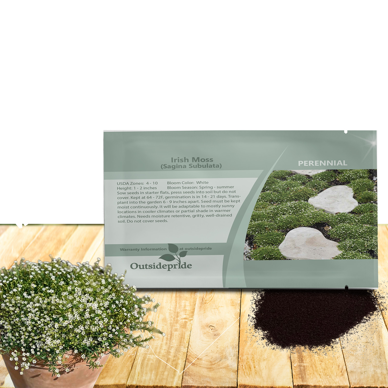 Perennial Irish Moss Seed Packet