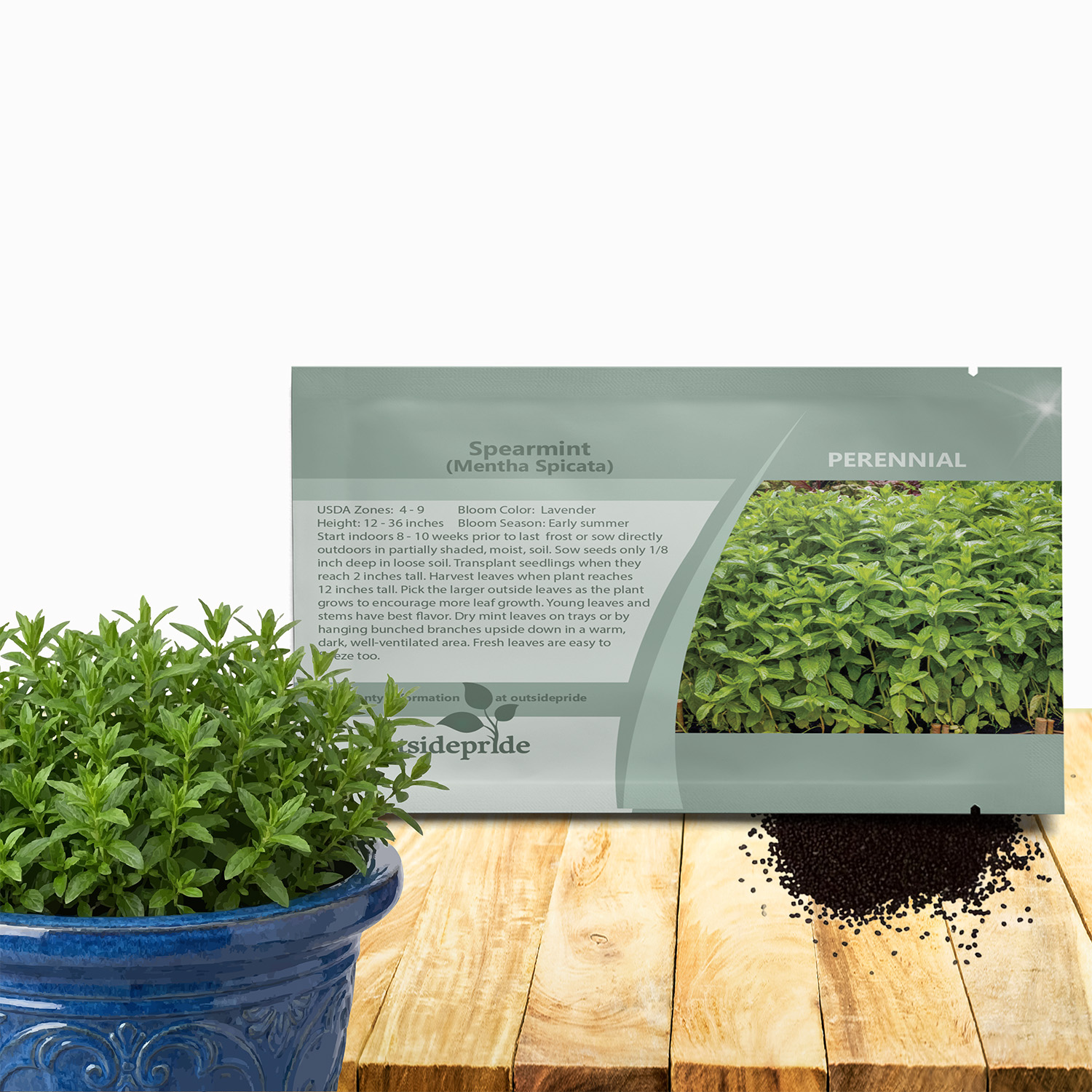 Spearmint Herb Seed Packet