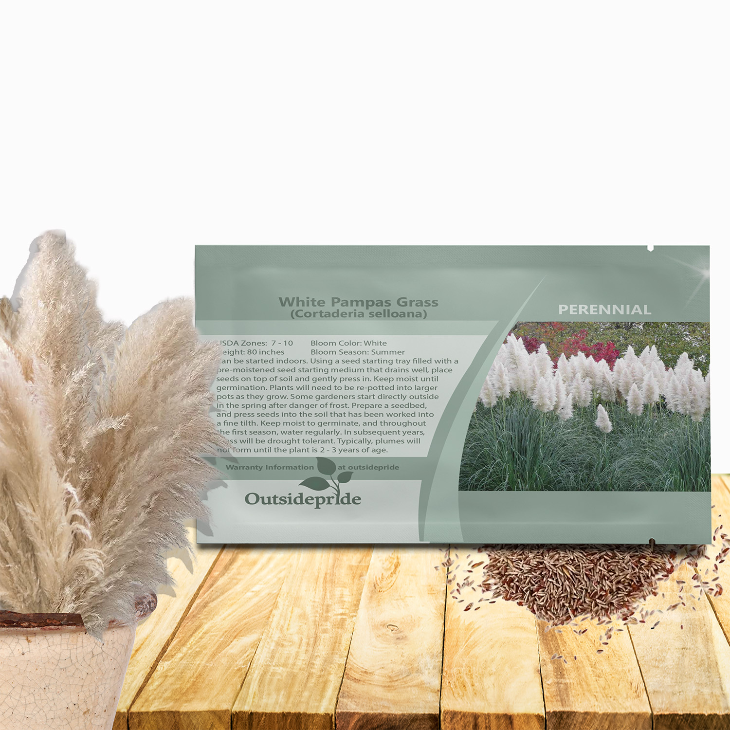 White Pampas Seed Packet For Planting