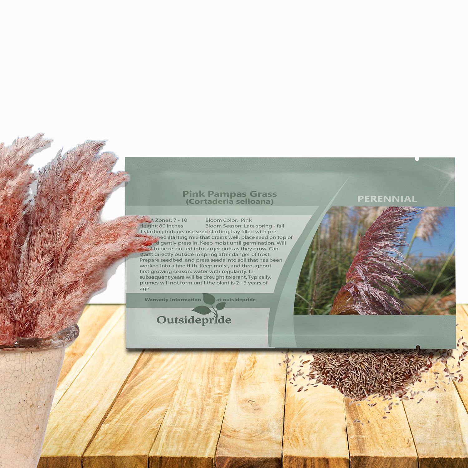 Pink Pampas Ornamental Grass