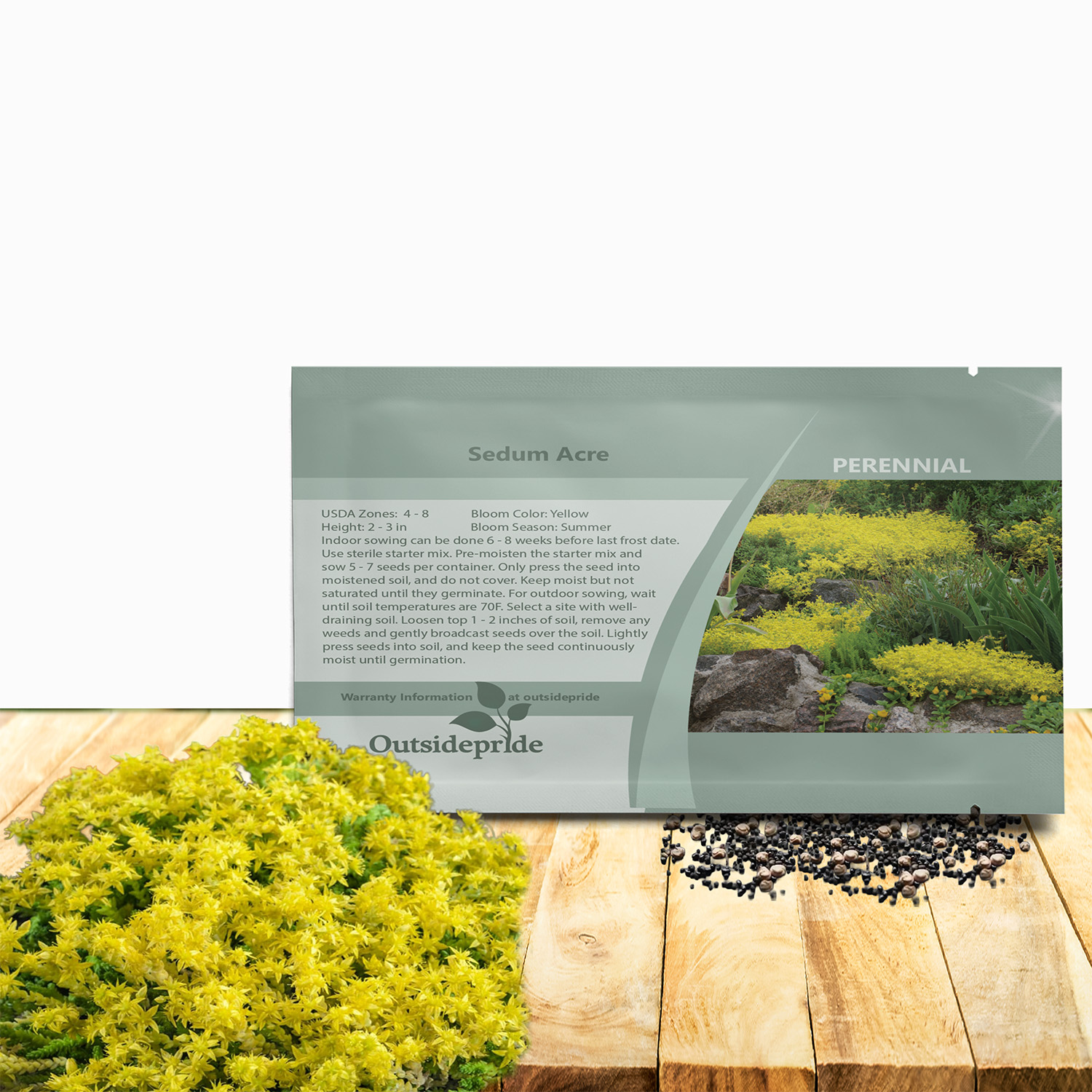 Sedum Acre Yellow Seed Packet
