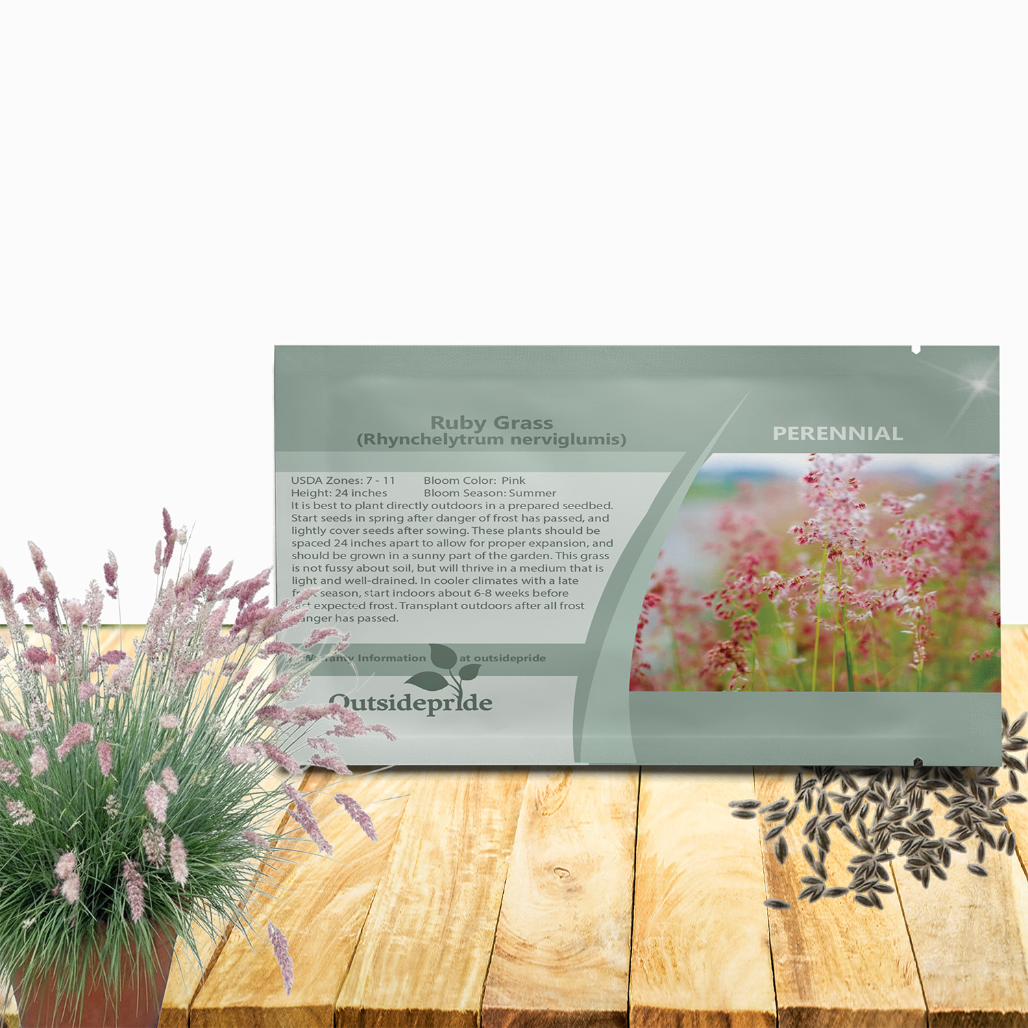 Ruby Grass Ornamental Grass Seed Packet