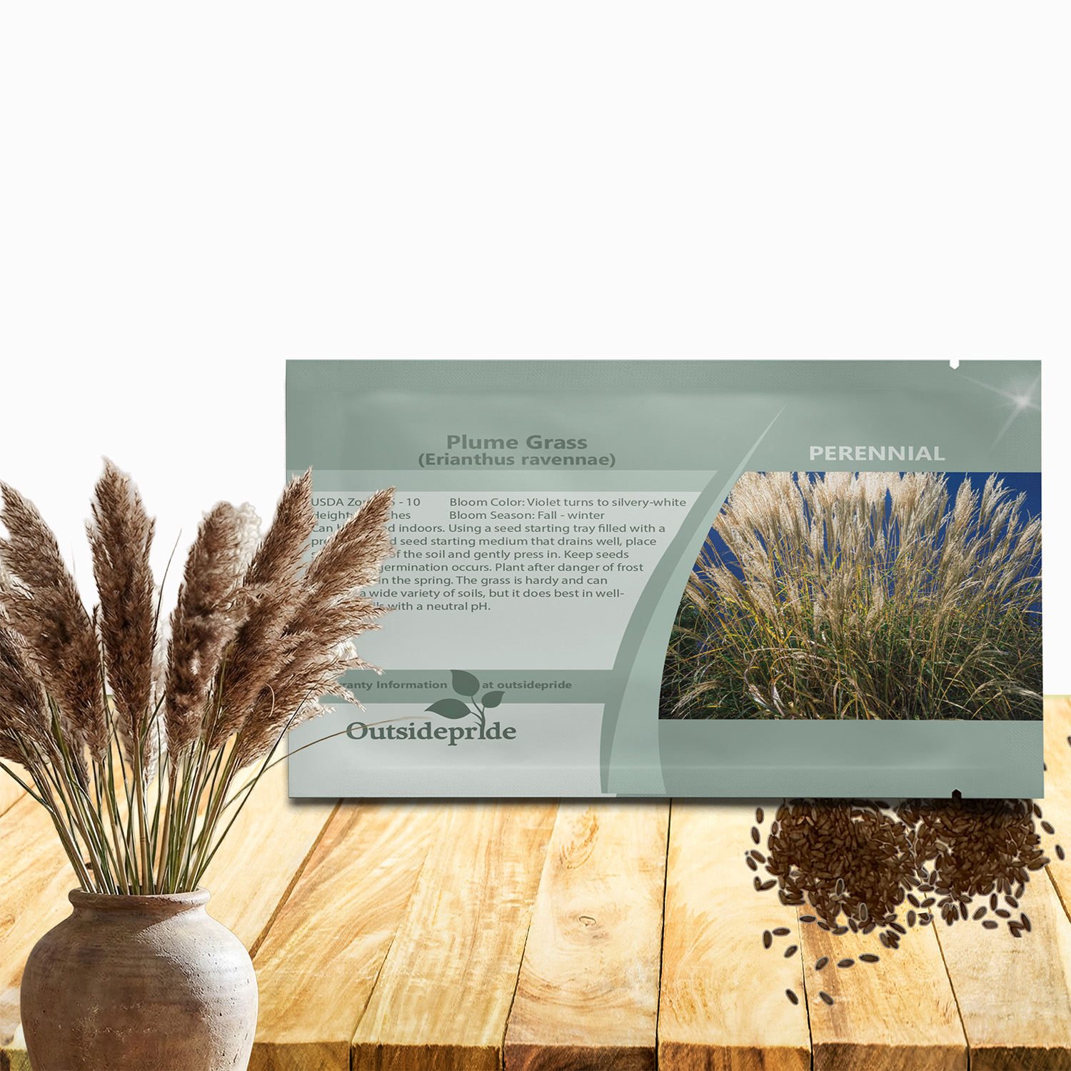 Plume Grass Seeds For Planting