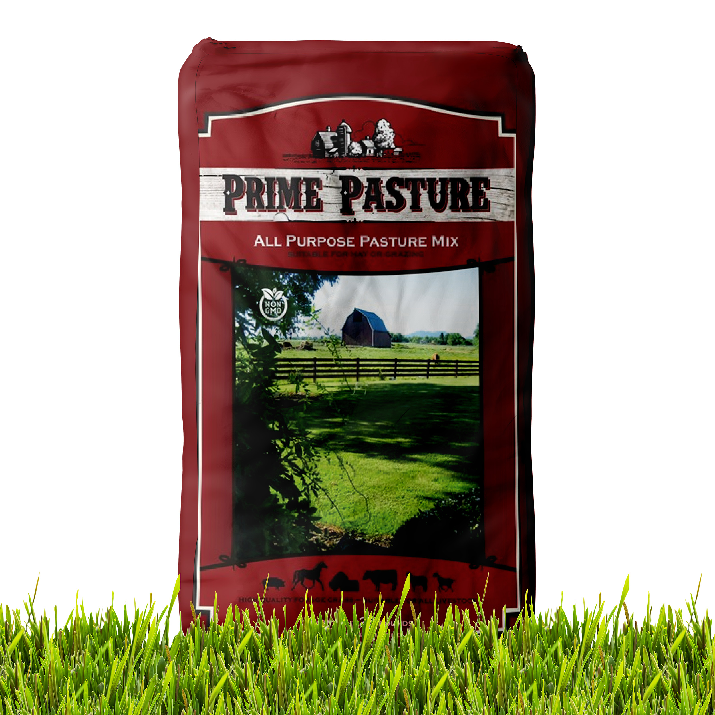 All Purpose Pasture Seed Bag