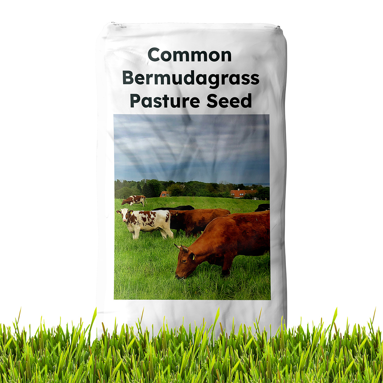 Common Bermuda Seed Bag