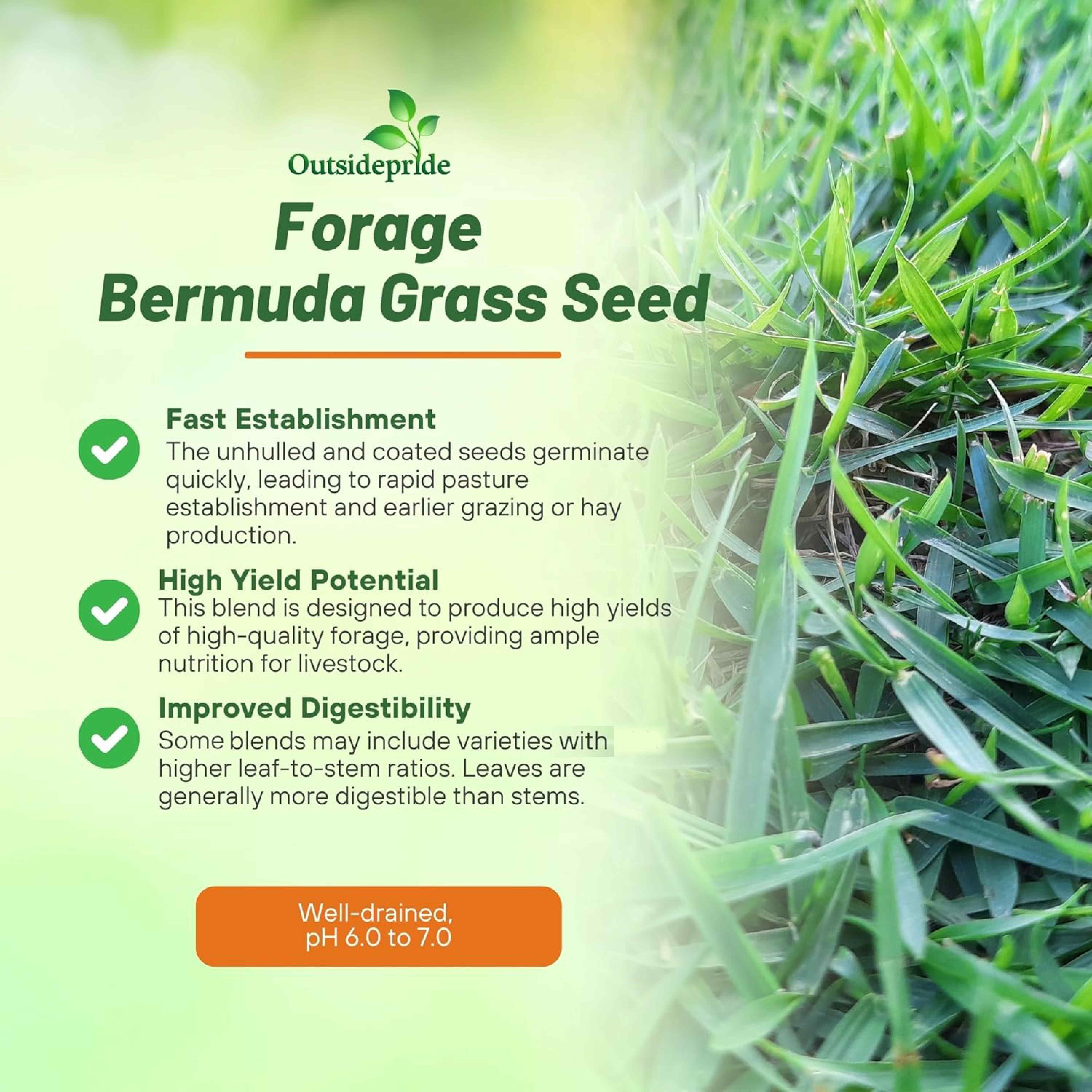 Grit Bermuda Pasture Seed