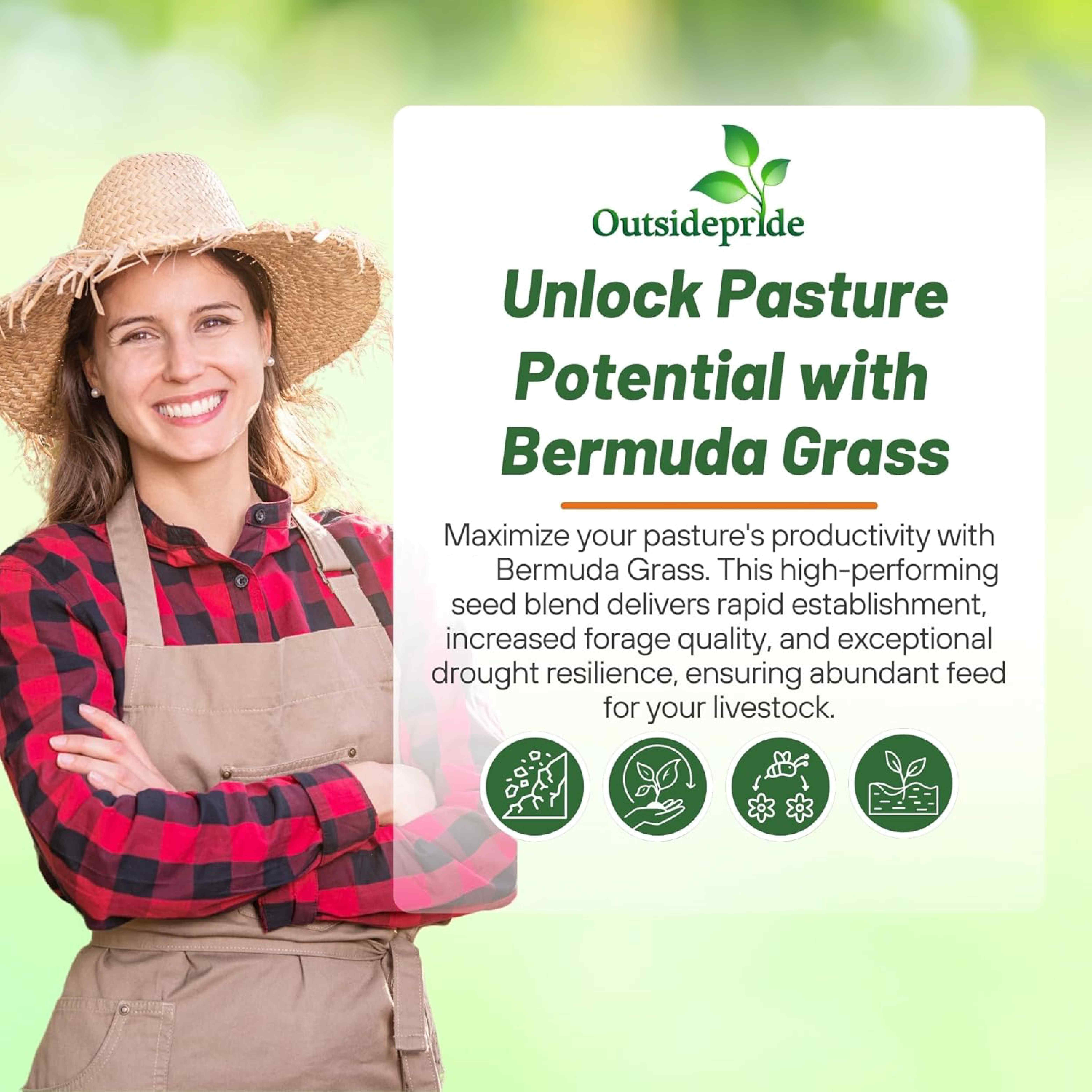 Grit Bermuda Pasture Grass