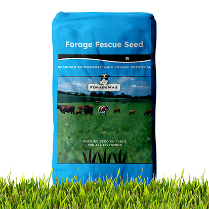 Forage Fescue Seed Bag