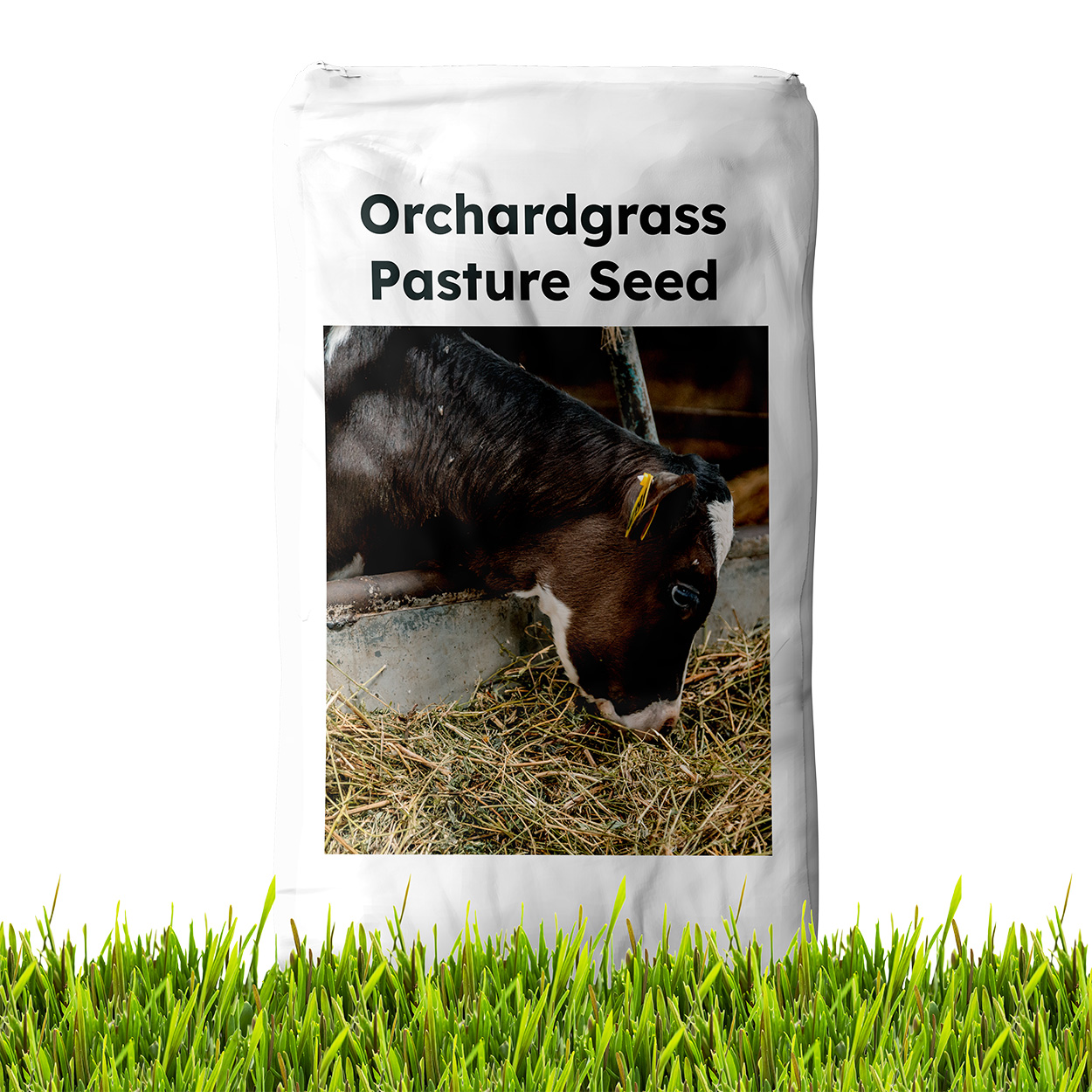 Orchard Grass Seed Bag