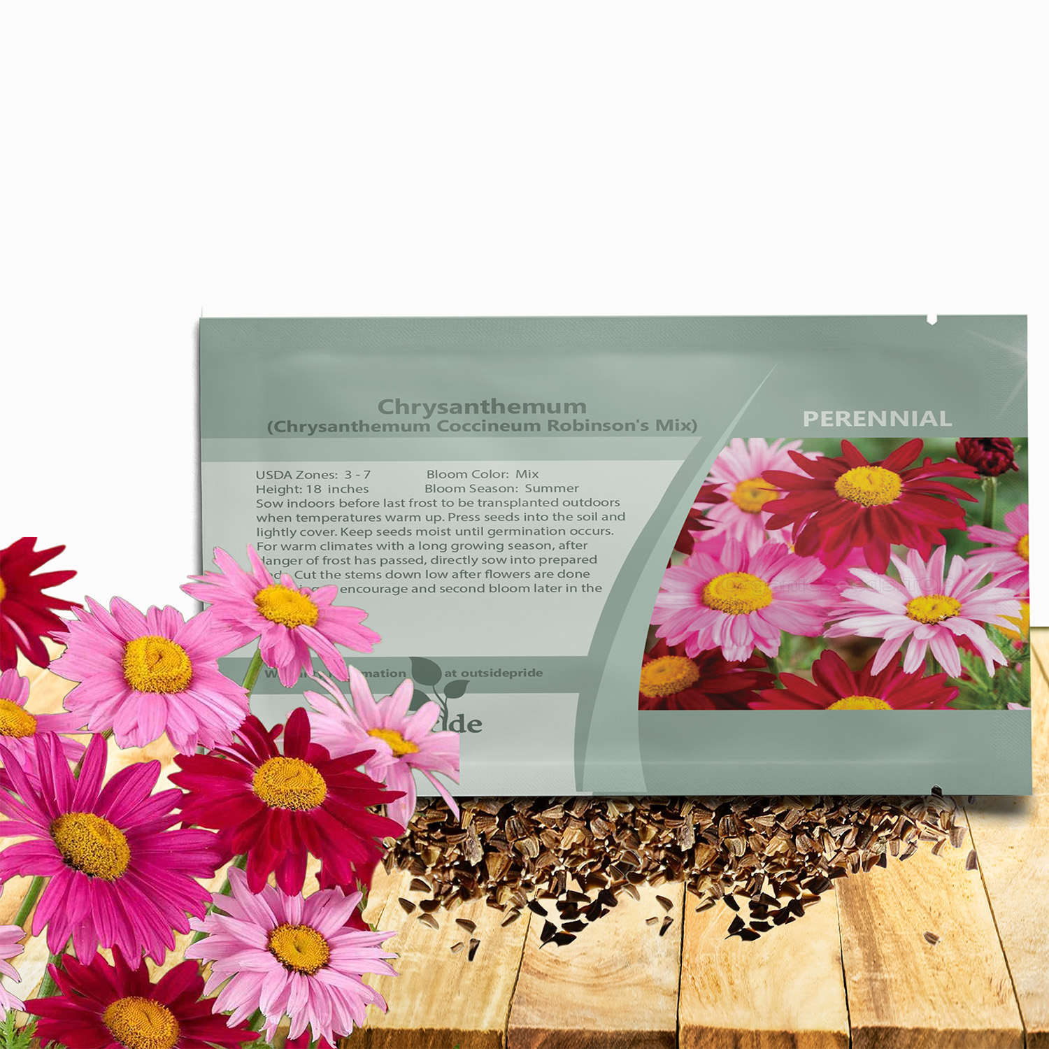 Chrysanthemum Robinson's Flower Seed Packet