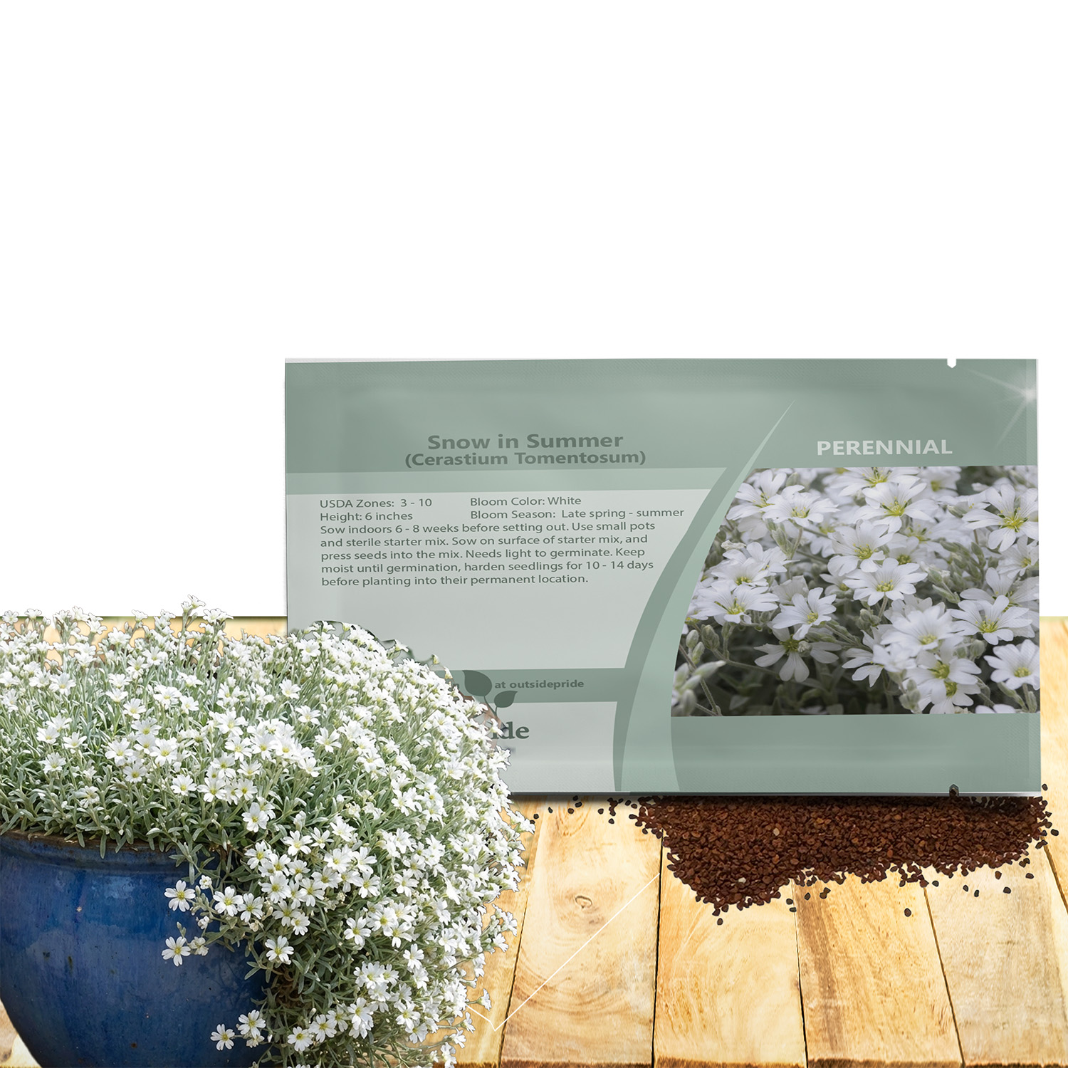 Snow In Summer Seed Packets