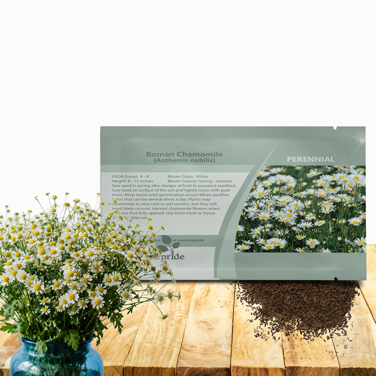 Roman Chamomile Herb Seed Packet