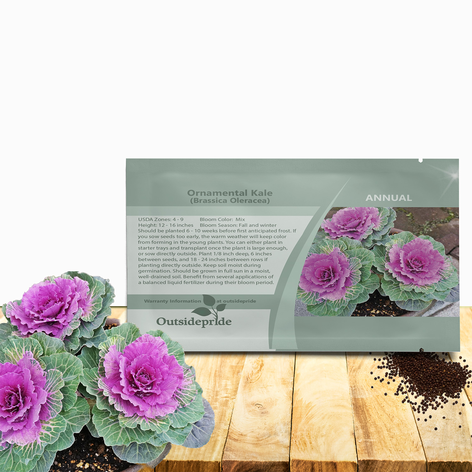 Ornamental Kale Seed Packet