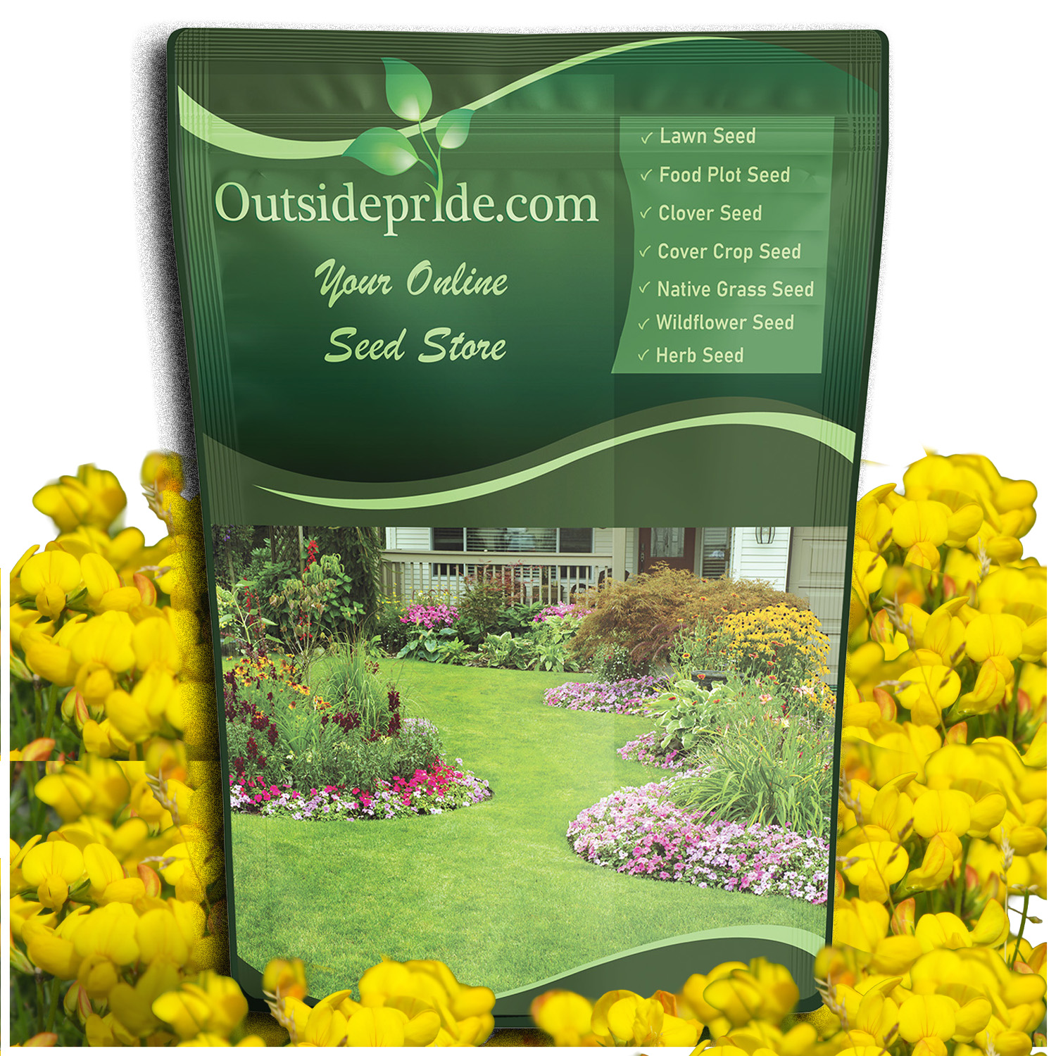 Birdsfoot Trefoil Seed – Forage Legume For Pasture, Hay & Silage (5 Pounds)