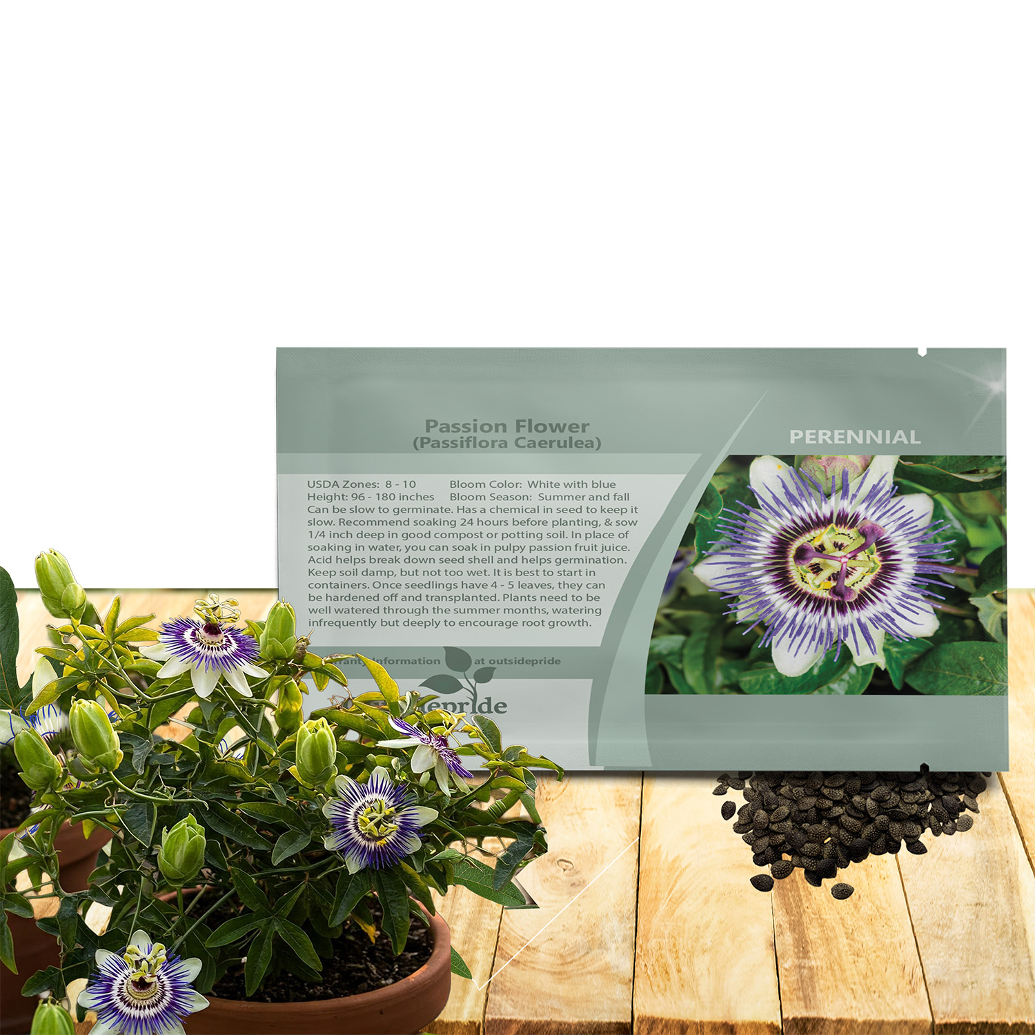 Passion Flower Seed Packet For Planting