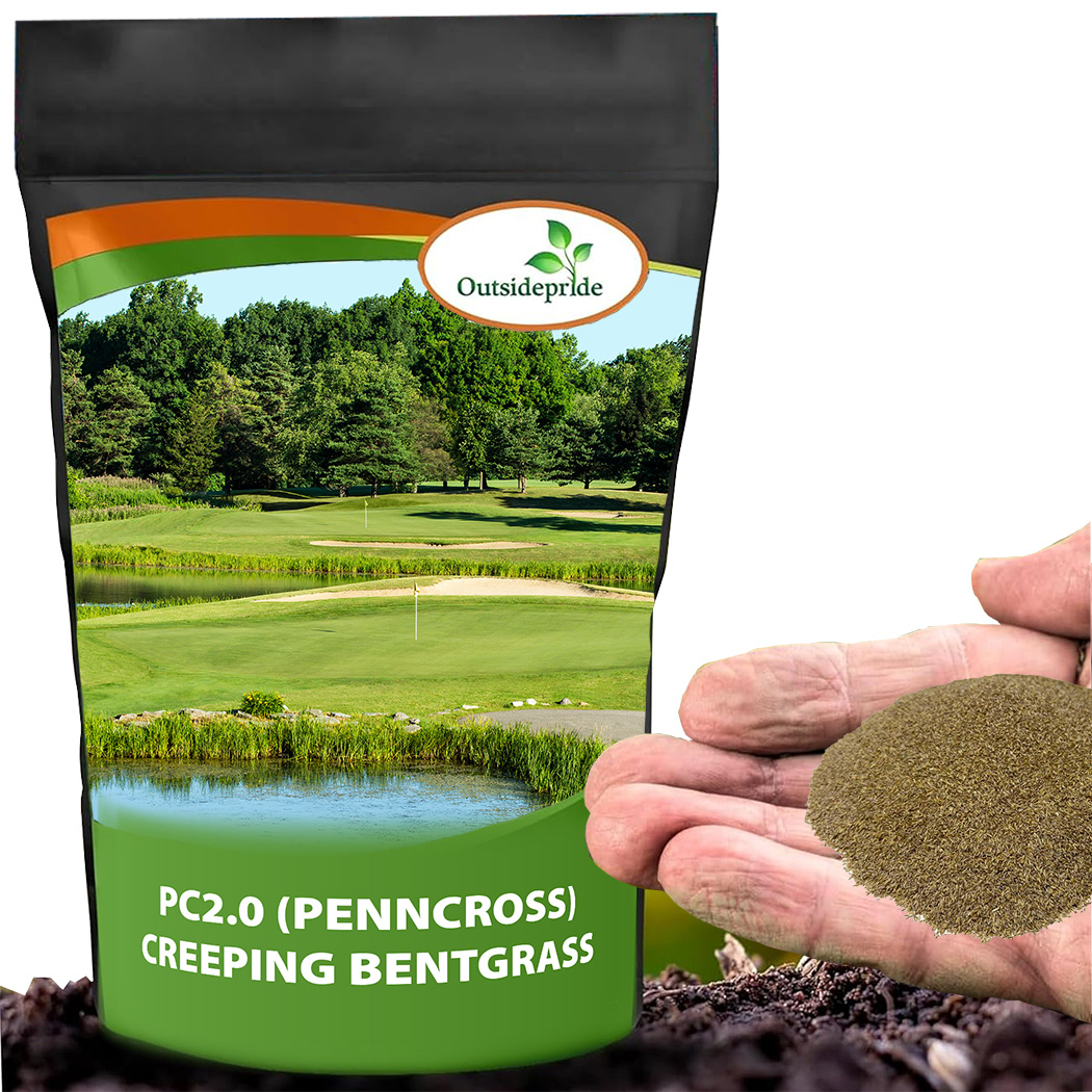 PC 2.0 Putting Green