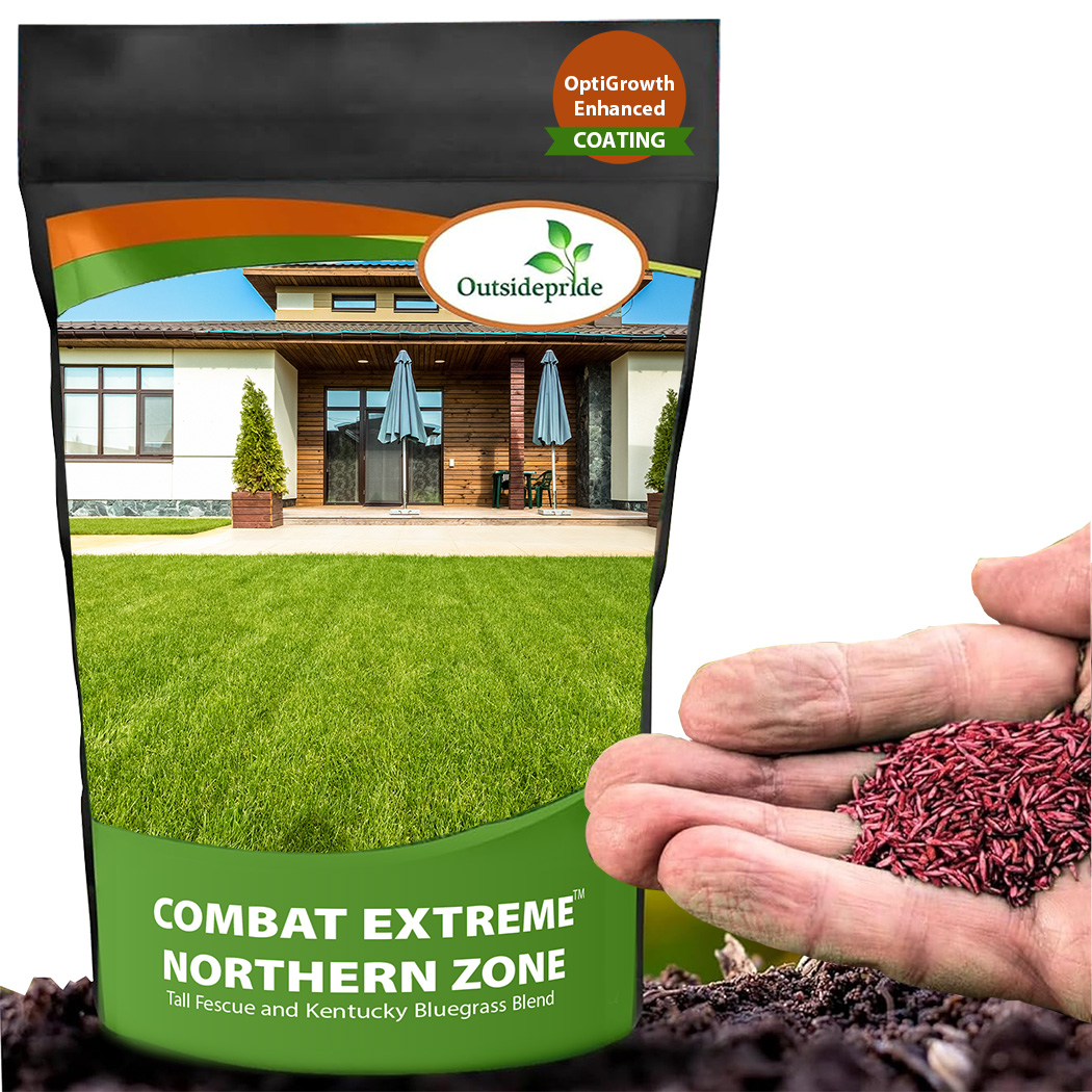 Combat Fescue Bluegrass Mix