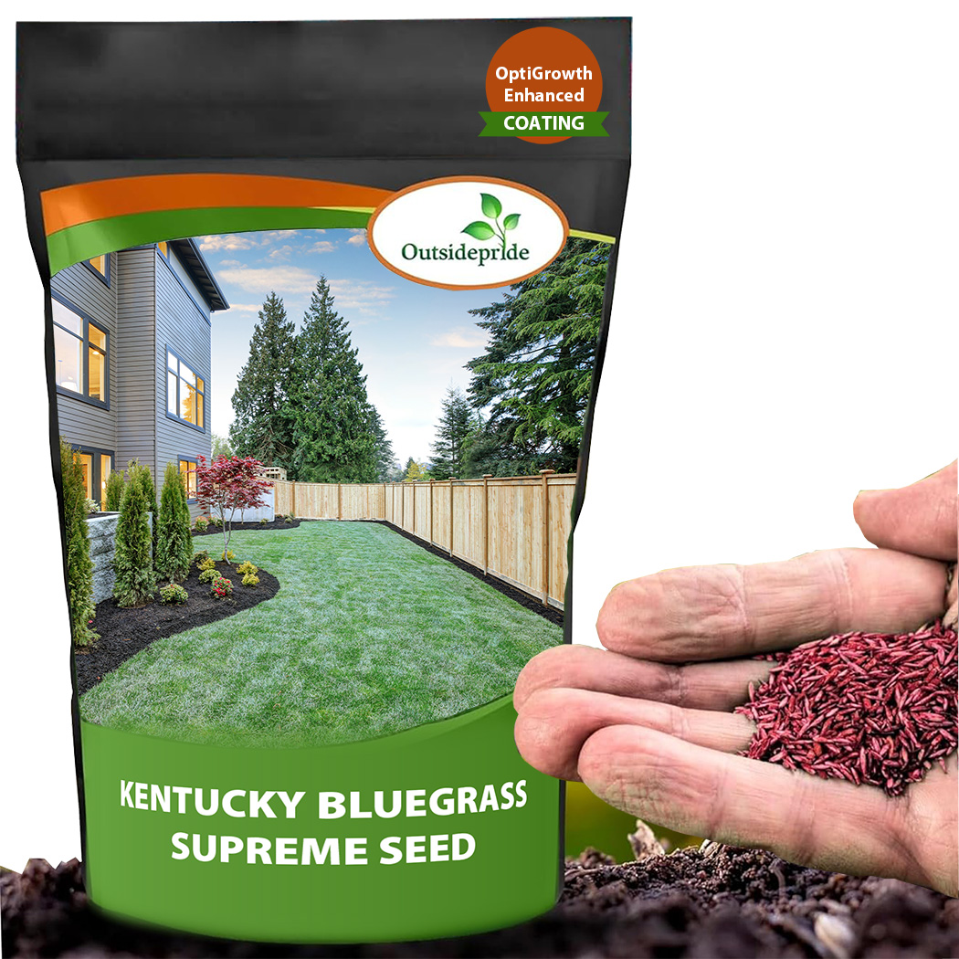 Kentucky Bluegrass Bag