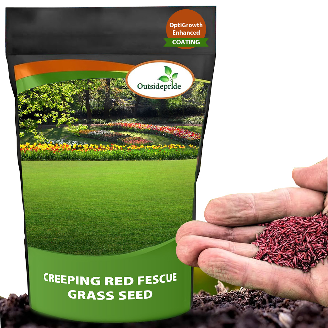 Creeping Red Fescue Seed Bag