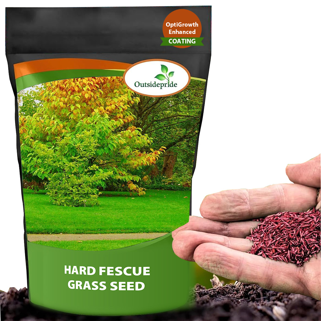 Hard Fescue Seed Bag