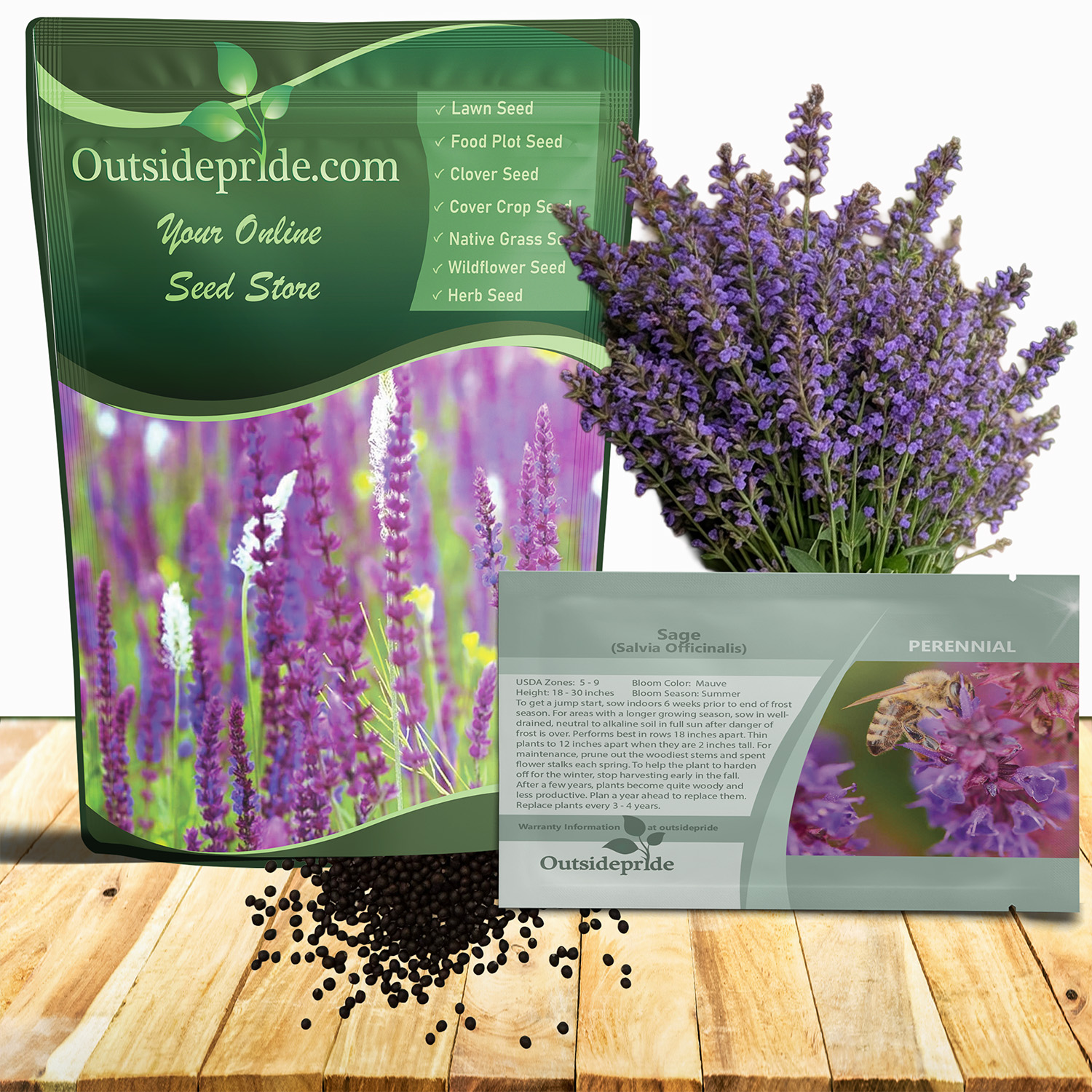 Sage Herb Seeds For Planting