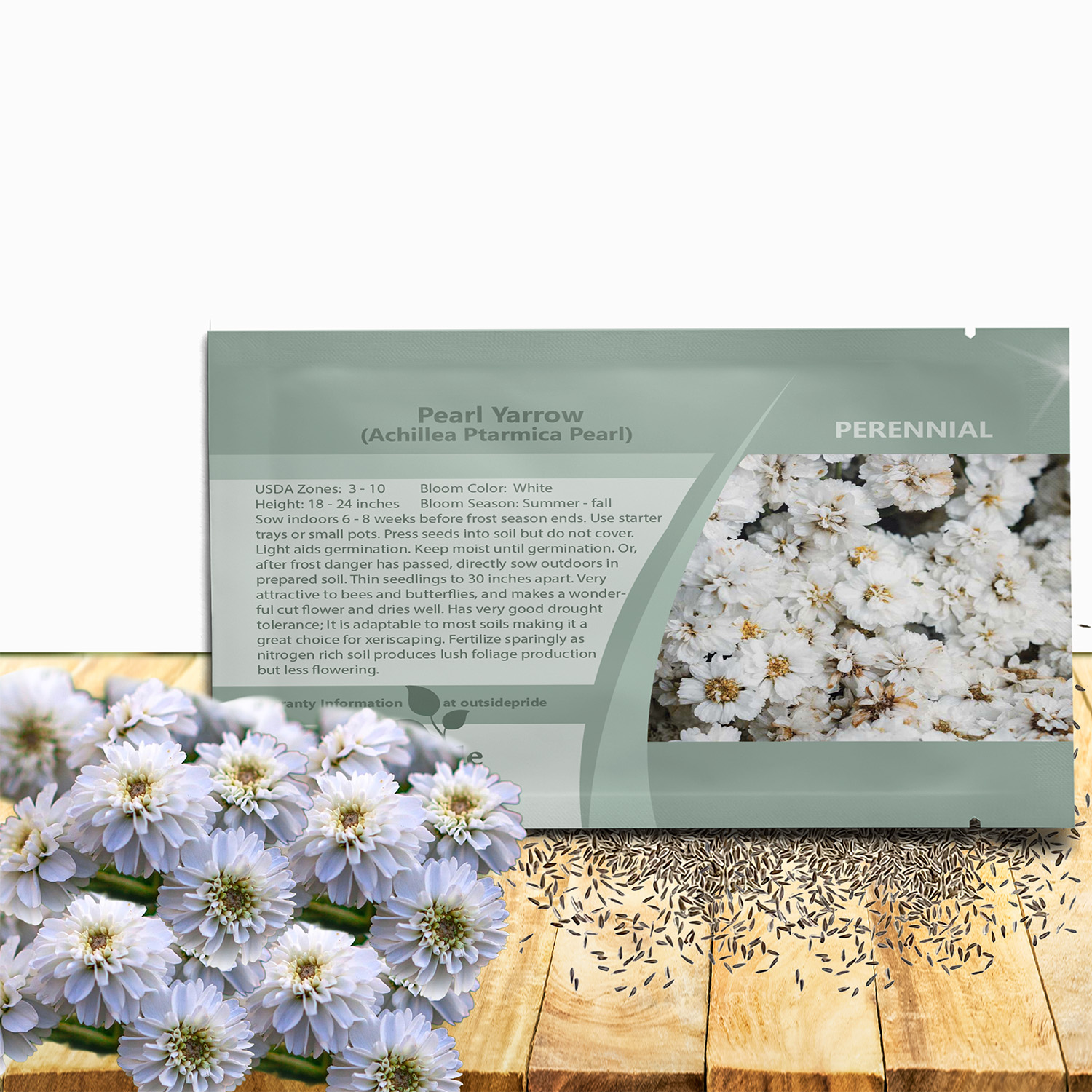 Achillea Ptarmica Pearl Seed Packet