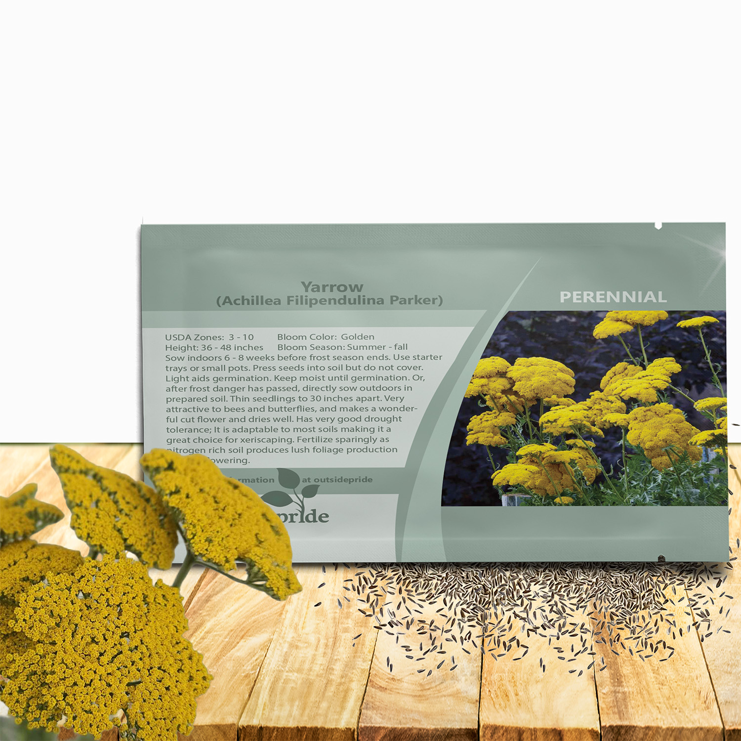Perennial Yellow Yarrow Parker Seed Packet