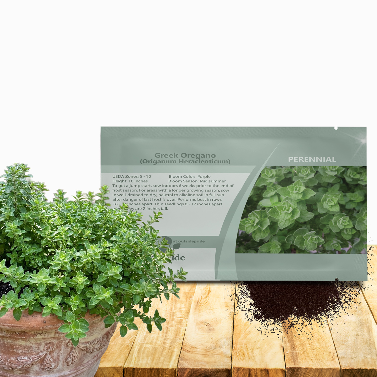 Greek Oregano Herb Seed Packet