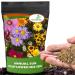 Annual Wildflower Seeds