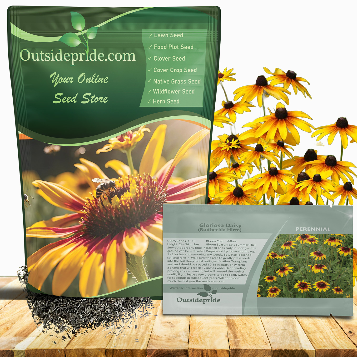Gloriosa Daisy Pollinator