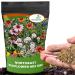 Northeast Wildflower Seed Bag