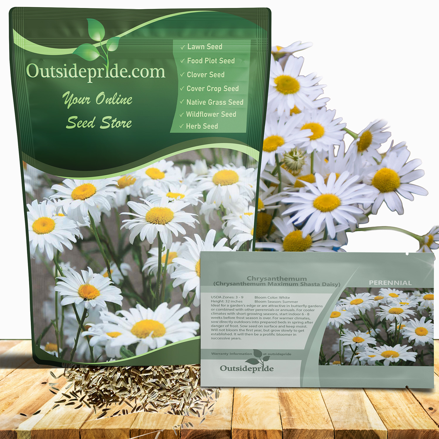 Chrysanthemum Maximum Shasta Daisy Seed Packet