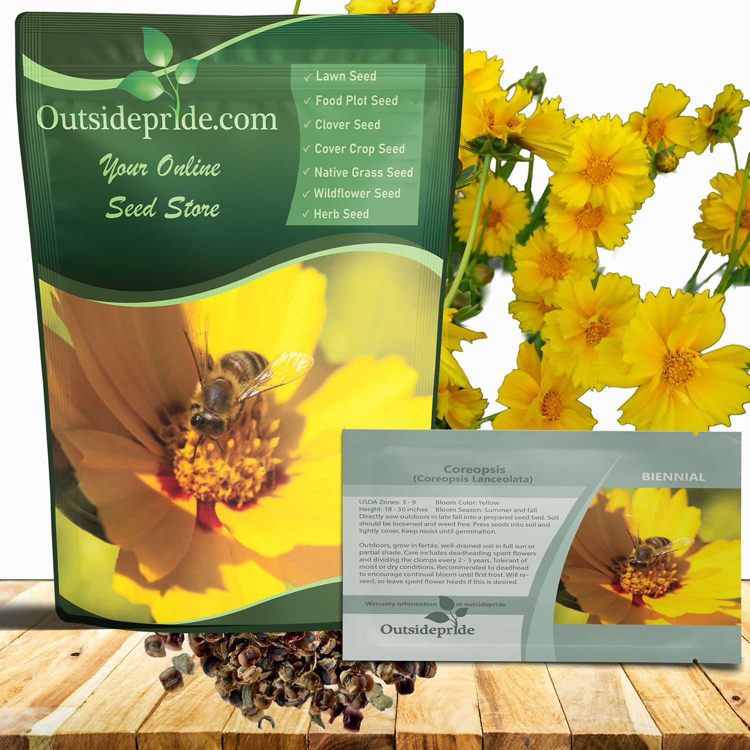 Lanced-leaved Coreopsis Seed Packet