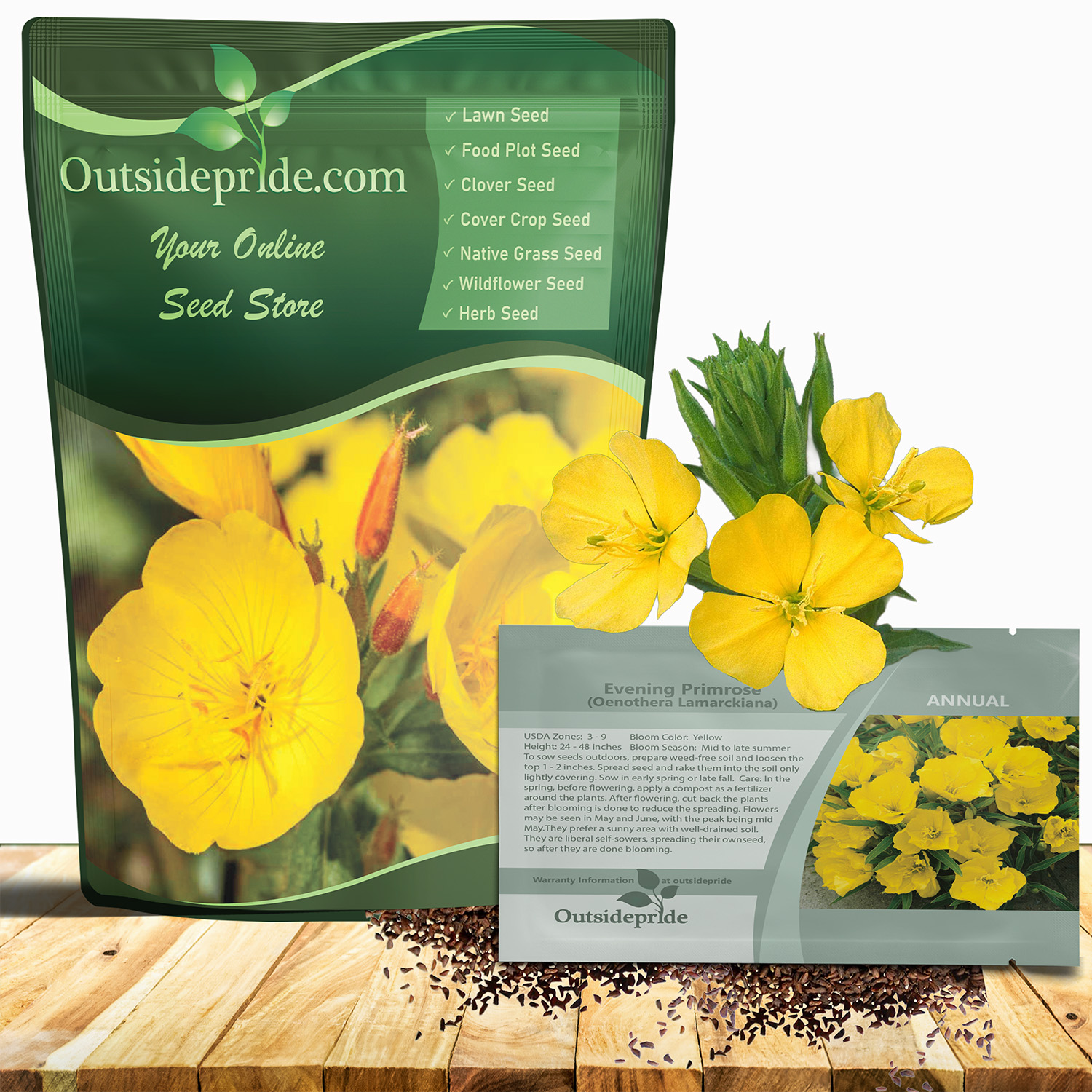 Evening Primrose Seed Packet