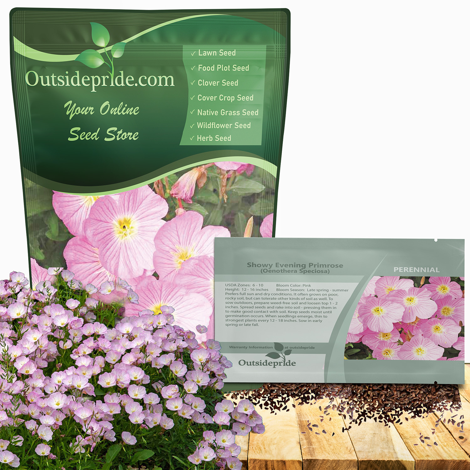Perennial Showy Evening Primrose Seed Packet