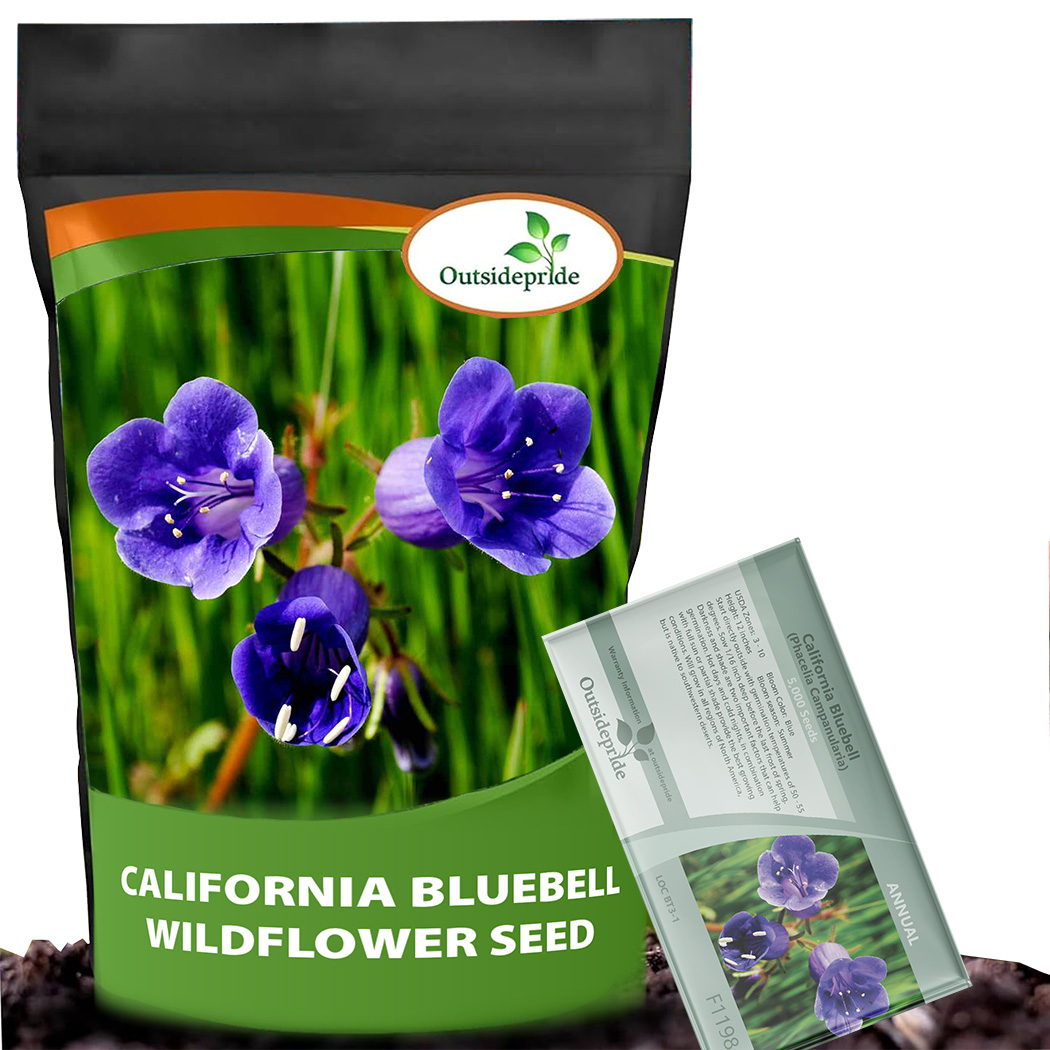 California Bluebell Meadow