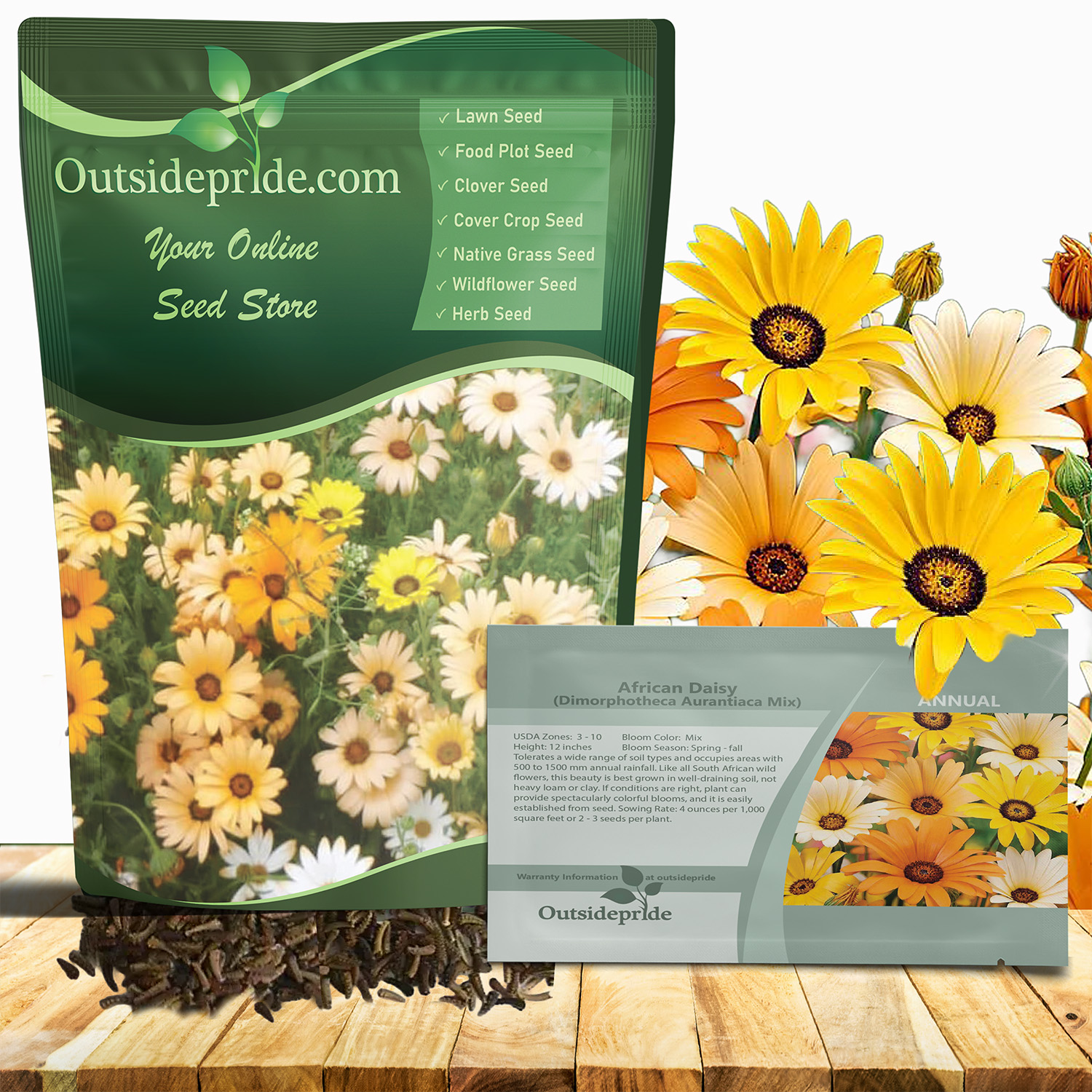 African Daisy Mix Seed Bag For Planting