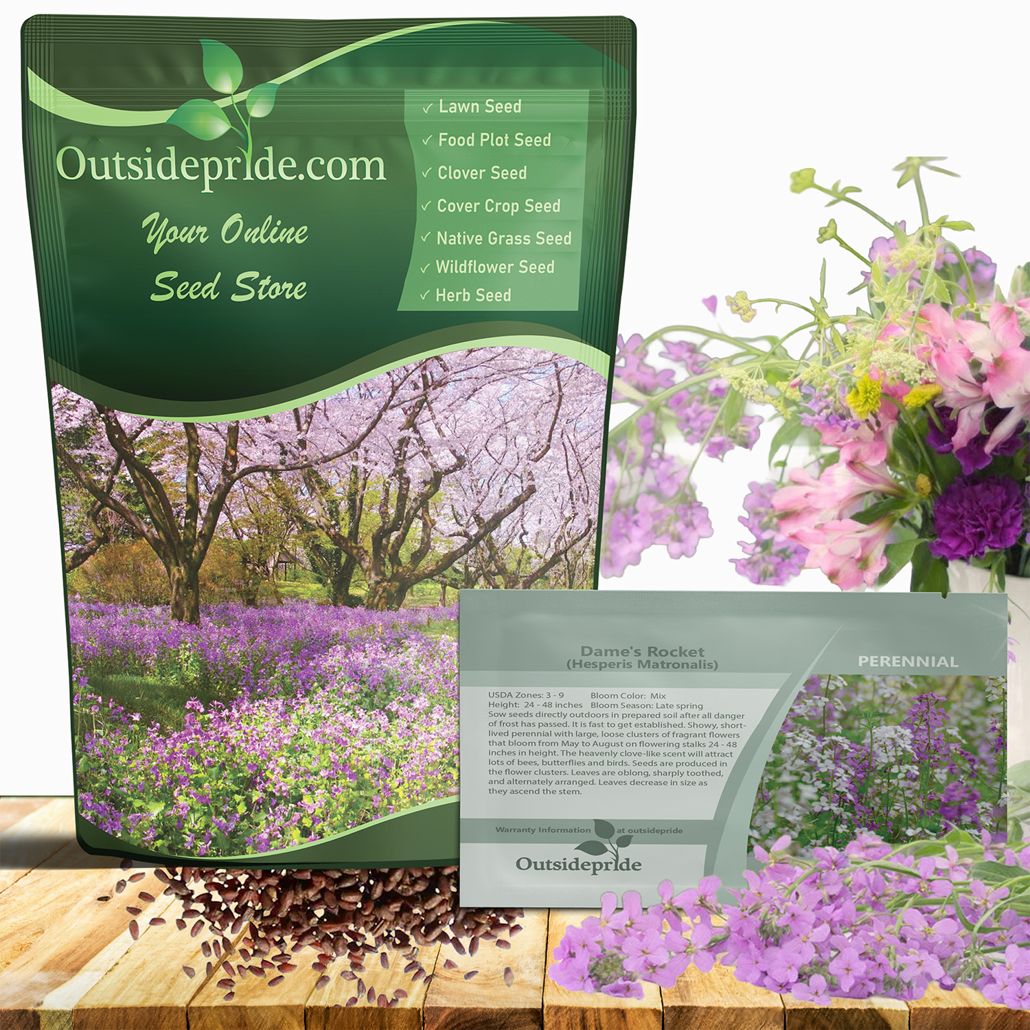 Dame's Rocket Seeds for Planting