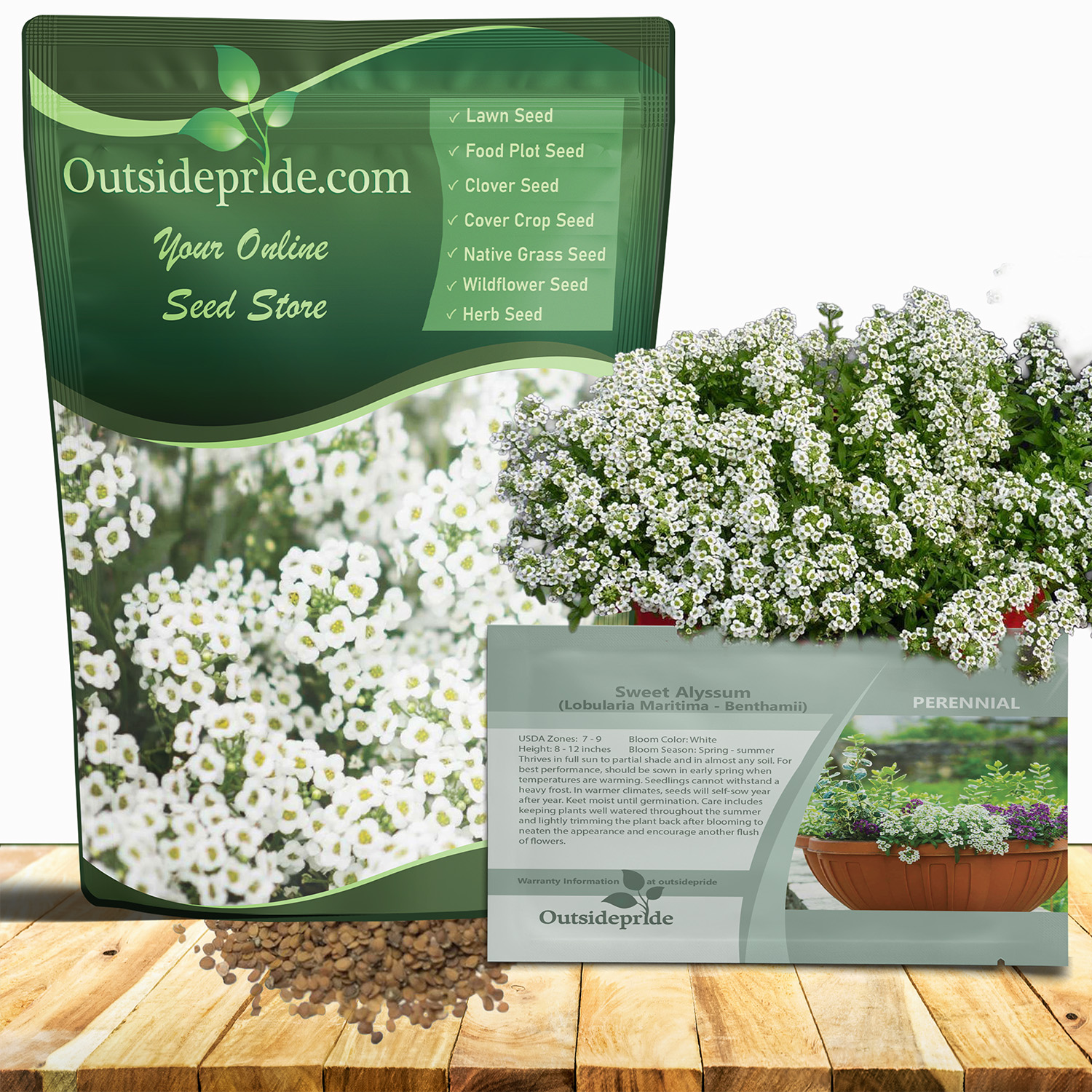 Sweet Alyssum Wildflowers Seeds For Planting