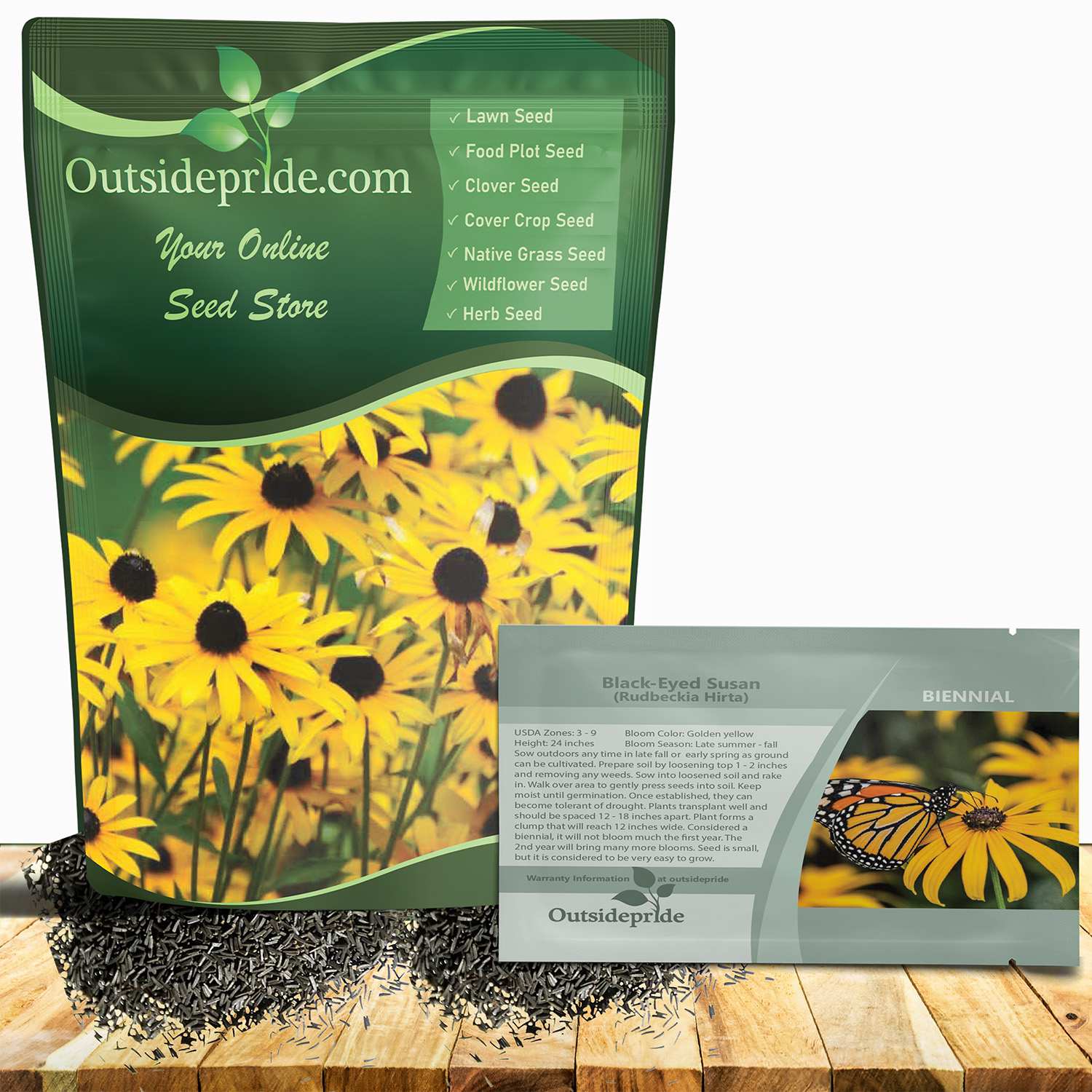 Black-Eyed Susan Drought Tolerance