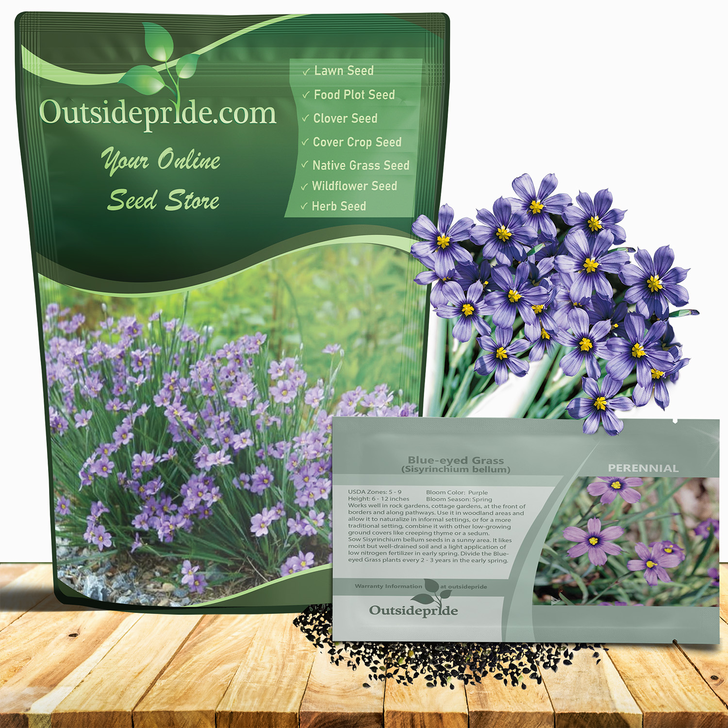 Sisyrinchium Bellum Seed Packet