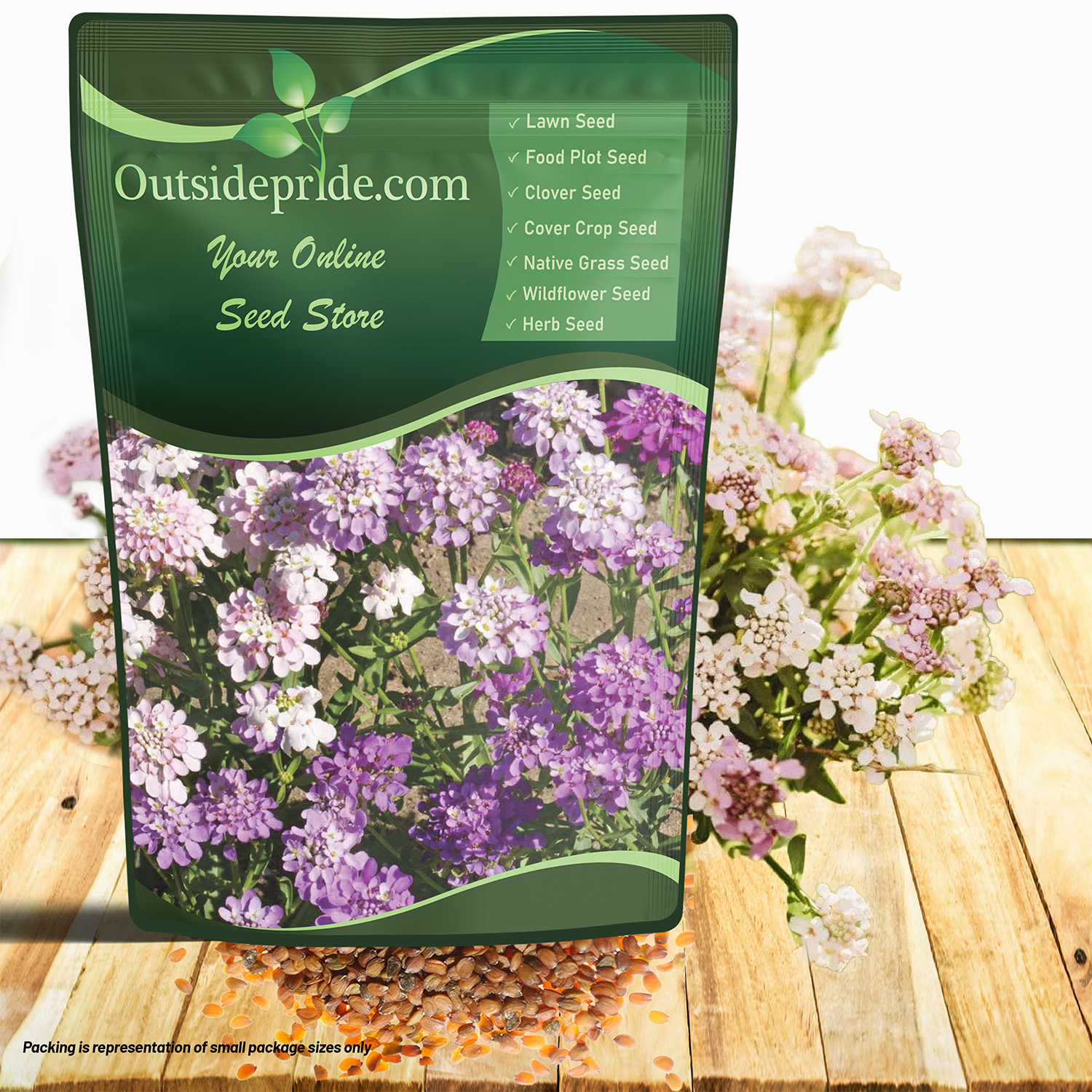 Candytuft Wild Flower Seed Bag For Planting