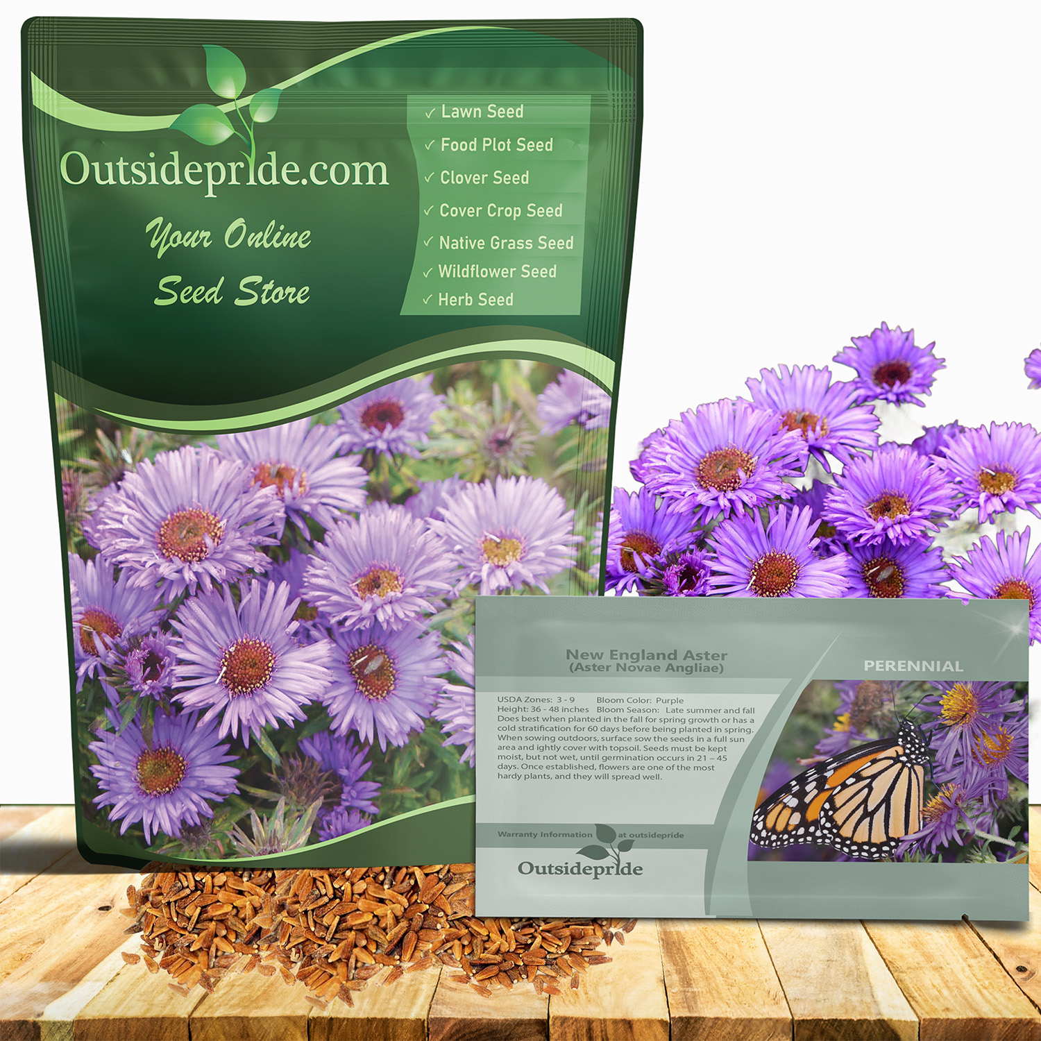 New England Aster Seed Packets